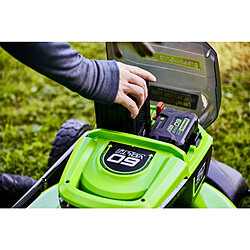 Greenworks Batterie G60B4 60 V