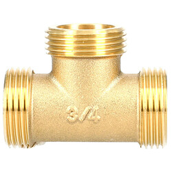 GARIS Té Mâle - 20x27