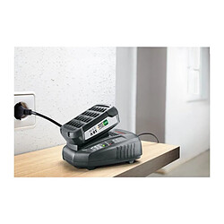 Avis Bosch Batterie lithium-ion 18 V Power for All - 2,5 Ah