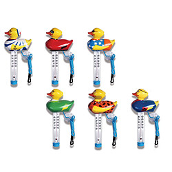 Kokido Thermomètre Mr Duck