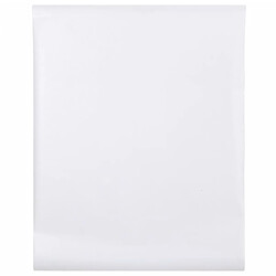 vidaXL Film pour fenêtre dépoli transparent 45x2000 cm