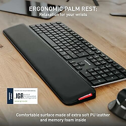 Fox Pathé Europa CHERRY PALMREST ERGO