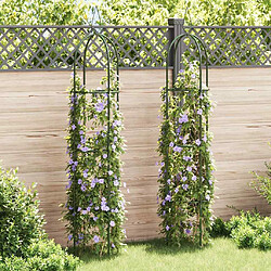 vidaXL Arche de jardin - Lot de 2