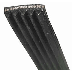 Galanz Honore Brest Galanz Courroie Poly V pour sèche-linge DV-60Q5ER