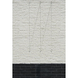 Nature Ensemble de treillis métallique pour plantes grimpantes