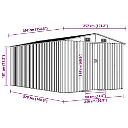 vidaXL Abri de jardin 257x392x181 cm pas cher