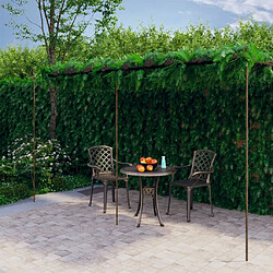 vidaXL Pergola de Jardin en Fer - 6x3x2,5 m - Marron Antique