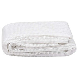 Avis vidaXL Couverture de remplacement de serre 300x450x200 cm - Transparent