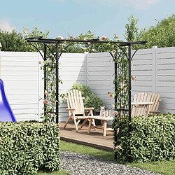 vidaXL 200x52x204 cm Arche jardin - Fer noir - Idéal pour plantes grimpantes