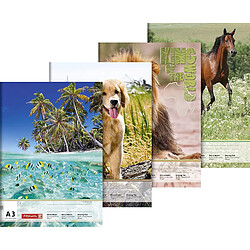 Attache & fixation Schneider