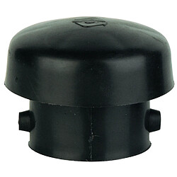 Watts industries Chapeau d'évent 22l0160125