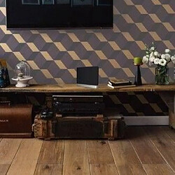 Acheter CGV Antenne Intérieure Reglisse RED