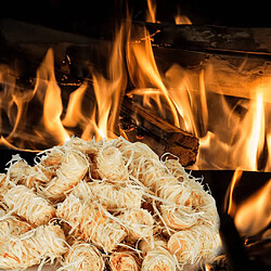 VidaXL Allume-feu BIO 10 kg