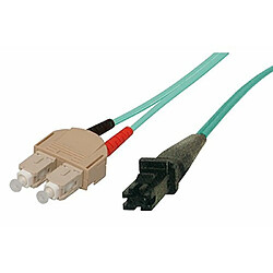 Tecline Fröhlich + Walter