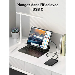 Ugreen 15231 pas cher