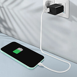 Acheter Avizar Connecteur de Charge Lightning iPhone 11