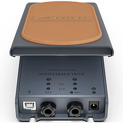 LEHLE Dual Expression