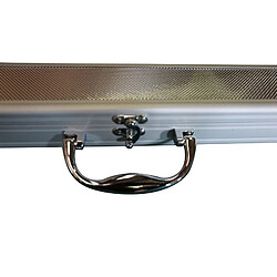 Avis Jt2d Boîtier pour queue de billard - Argent