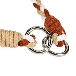 Avizar Tour de Cou Tressé Universel 65 cm Beige