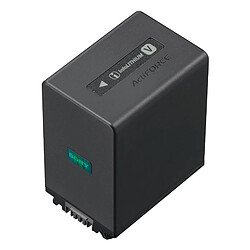 SONY Batterie NP-FV100A InfoLITHIUM
