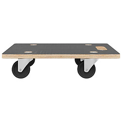 Acheter vidaXL Chariots transport 2 pcs 50x35x11.5 cm