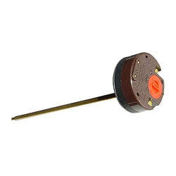 Avis THERMOSTAT RTS3 300 70/83°C