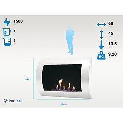 Acheter Purline Bio Cheminée Inox Classic