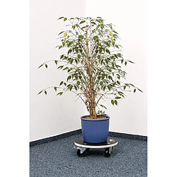 MEISTER Chariot de manutention à roulettes