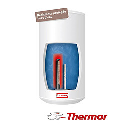 Acheter Thermor STEATIS 250L