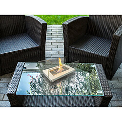 Avis Purline Cheminée à éthanol de table