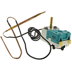 THERMOSTAT DOUBLE BULBE BRANDT - SEM255561