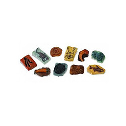 Safari Figurines fossiles en tube