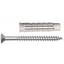 Acheter Spit Cheville nylon 10 x 50 mm Pro 6