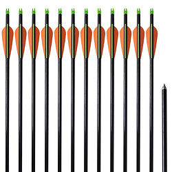 vidaXL Flèche pour arc à poulies - 12 pcs - 30"