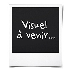 Schleich Cabinet vétérinaire avec animaux