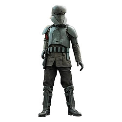 Hot Toys Transport Trooper