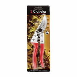 Avis 3 CLAVELES 21 cm