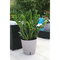 Riviera Pot de fleurs Ø 46 cm - Taupe