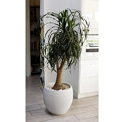 EDA Plastiques Pot rond Graphit Ã˜ 50 cm