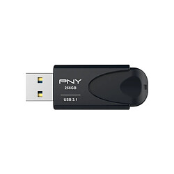 Acheter PNY Attache 4 - 256GB - Noir
