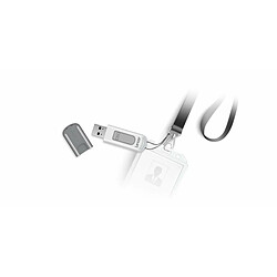 Acheter Lexar JumpDrive V100 - 64 Go