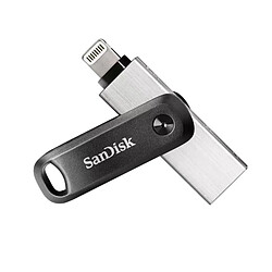 SanDisk iXpand - 64 Go - Gris