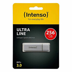 Intenso 256 GB Argent