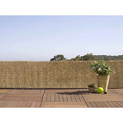 NORTENE Paillon de roseaux entiers 1x5 m