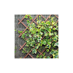 Gardman Panneau treillis en bois