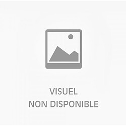 SentoSphère Aquarellum Live Insectes