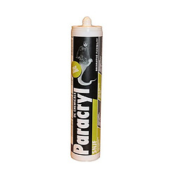 Dlchemicals DL CHEMICALS Paracryl Blanc - 310 ml