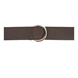 Gloria - Collier pour Chien Marron 85 x 4 cm pas cher