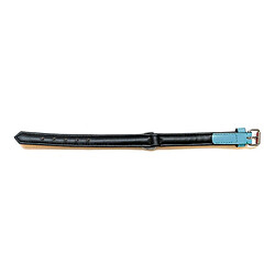 Gloria Collier Chien Turquoise pas cher