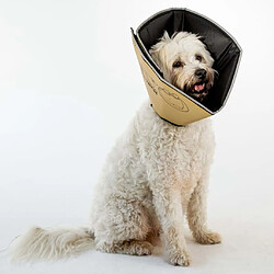 All Four Paws Collier Comfy Cone S